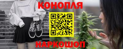 сатива Коммунар