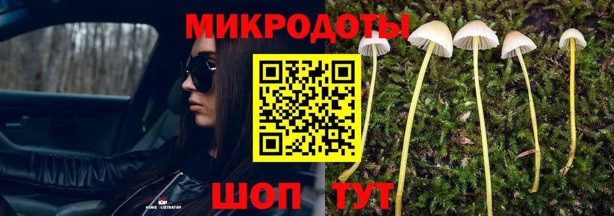 Киселёвск  Галлюциногенные грибы MAGIC MUSHROOMS  Вход с VPN 