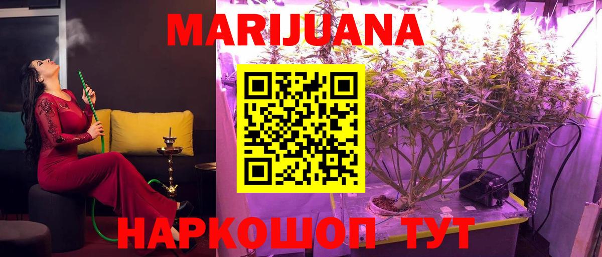 Бошки Шишки индика  Марихуана тримм  Конопля OG Kush  Киселёвск  Вход с VPN  Марихуана THC 21% 